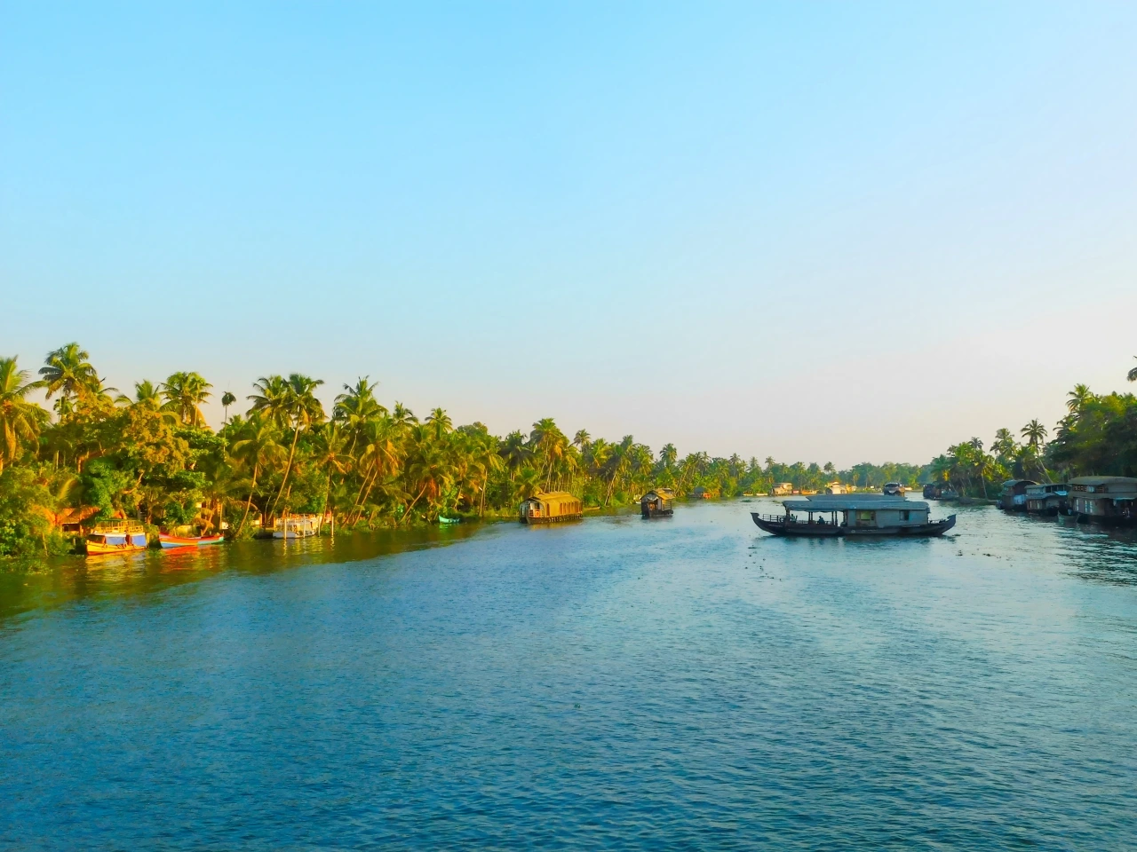 Kerala's backwaters