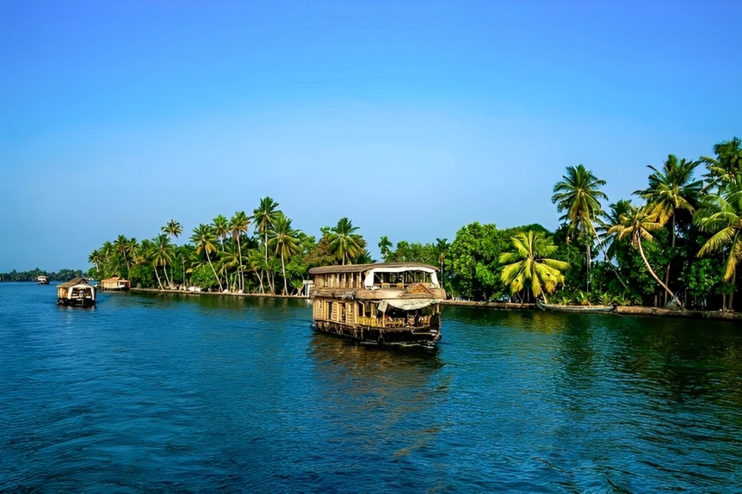 Kerala's backwaters