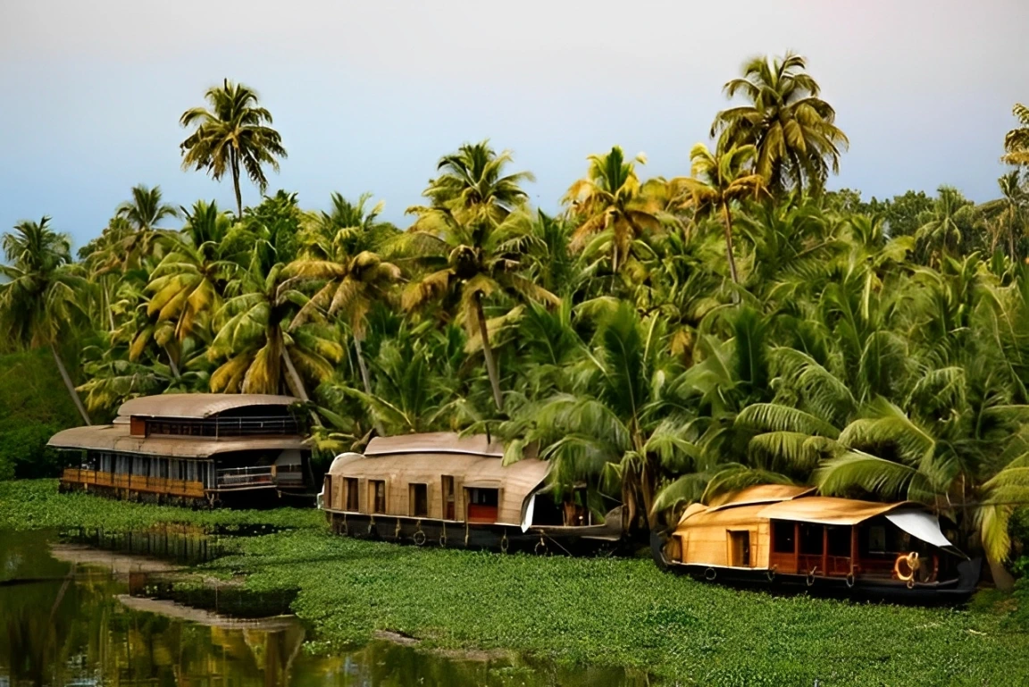 Kerala's backwaters